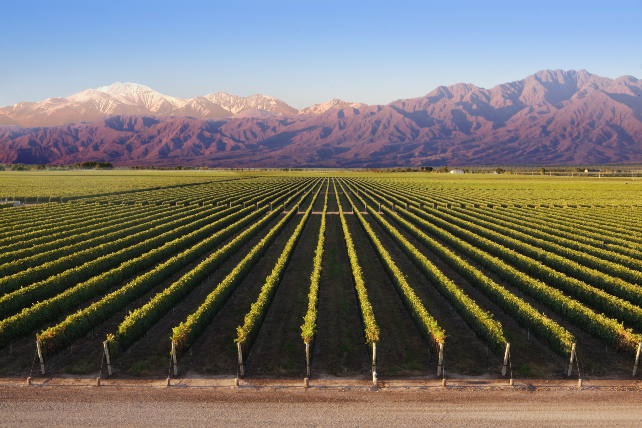 mendoza-la-mejor-opci-n-para-los-turistas-aviaci-n-en-argentina